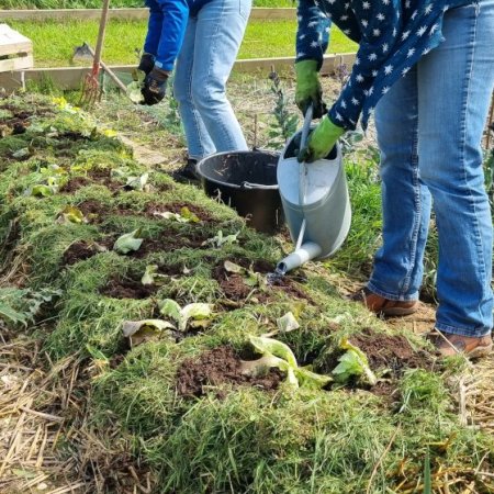 Atelier Compostage au jardin