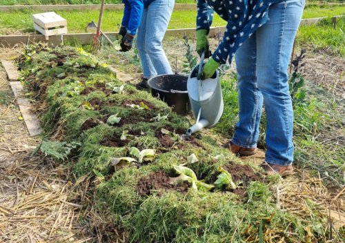 Atelier Compostage au jardin