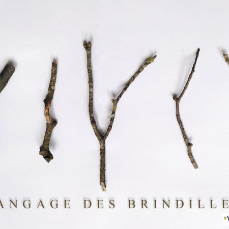 Le langage des Brindilles