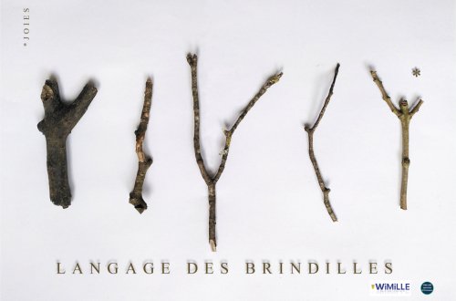 Le langage des Brindilles